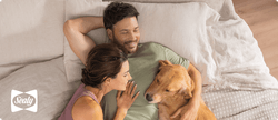 Man and woman laying on a Sealy mattress with their dog