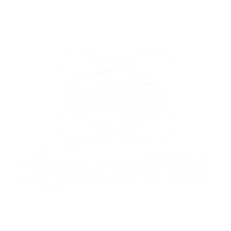Dreamlife White Logo