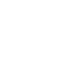 DreamLife White Logo