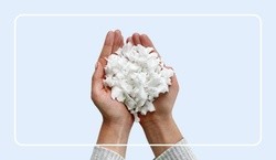 Two hands holding shredded Sealy blend memory foam with a rounded white border