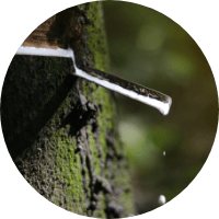 Naturals_Materials_Latex_200 (1)