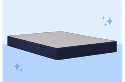 StableSupport Foundation with a light blue background