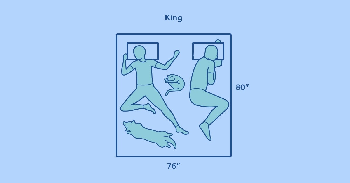 two cartoon people asleep in bed with dog and cat on king mattress